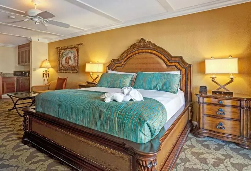 Fotos del hotel Pacific Terrace Hotel:  13