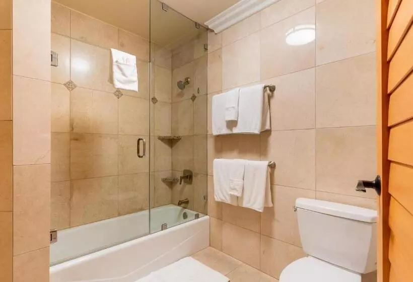 Fotos del hotel Pacific Terrace Hotel:  7