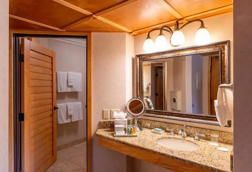 Fotos del hotel Pacific Terrace Hotel:  20