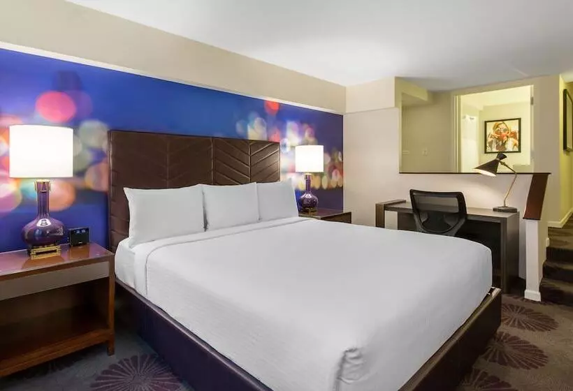 Fotos del hotel The Chicago  Collection Magnificent Mile:  11