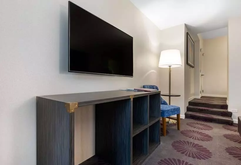 Fotos del hotel The Chicago  Collection Magnificent Mile:  23