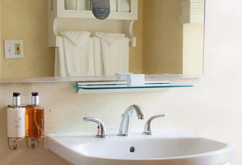 Fotos del hotel The Willows Hotel:  12