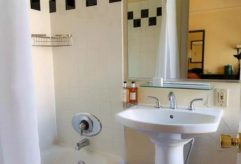 Fotos del hotel The Willows Hotel:  17