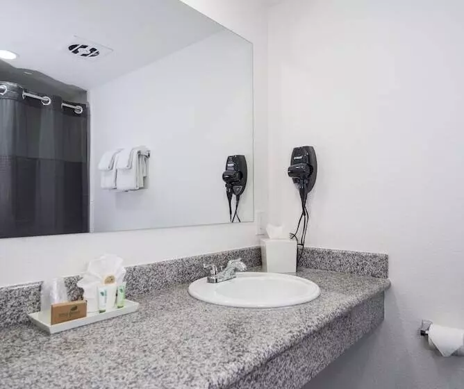 Fotos del hotel Siegel Select Convention Center:  4