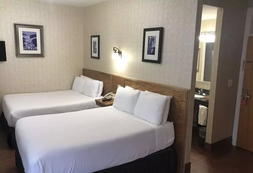 Fotos del hotel Windsor Inn:  6