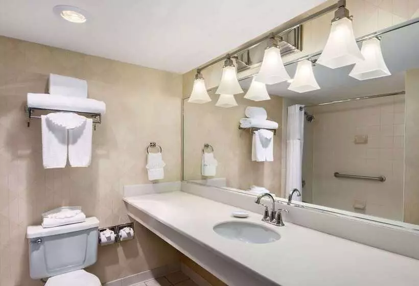 Fotos del hotel Wyndham Garden Dallas North:  6