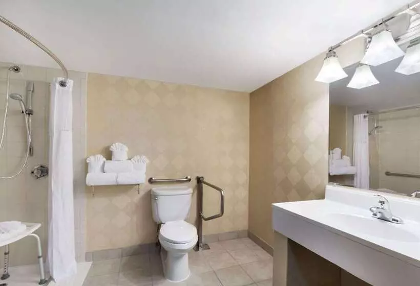 Fotos del hotel Wyndham Garden Dallas North:  12