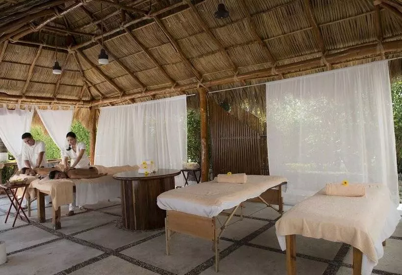 Fotos del hotel Gran Festivall All Inclusive Resort:  3