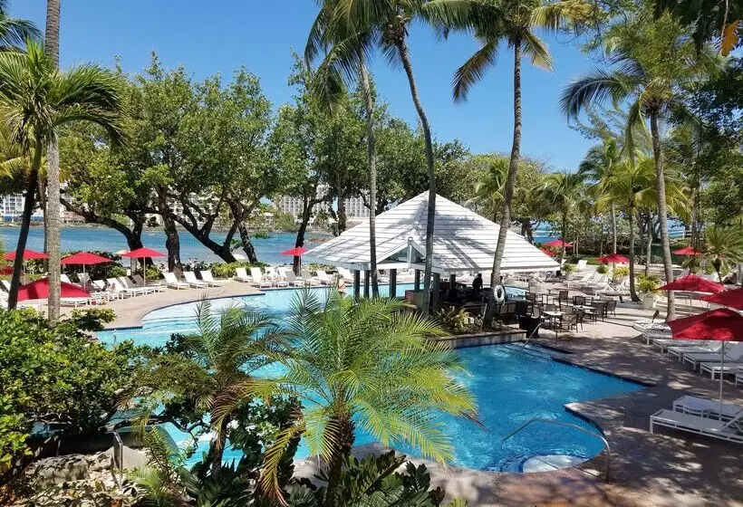 Fotos del hotel The Condado Plaza Hilton:  5