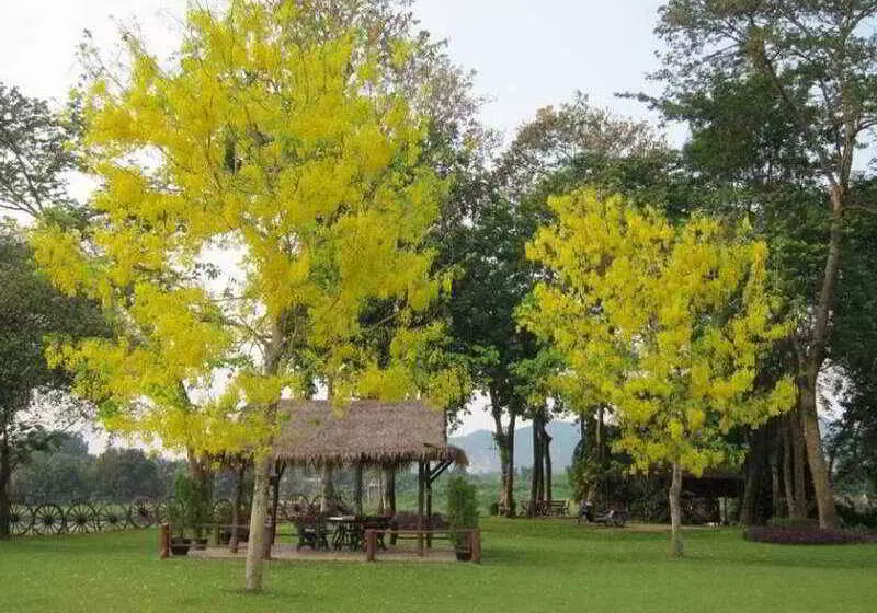 Fotos del hotel Felix River Kwai Resort  Sha Plus,certified:  21