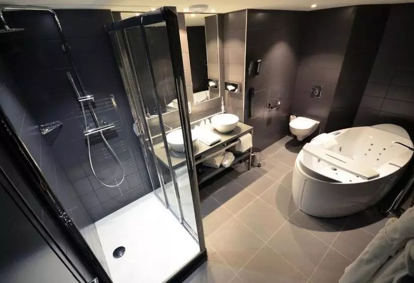 Fotos del hotel Holiday Inn Dijon Toison D Or, An Ihg:  11