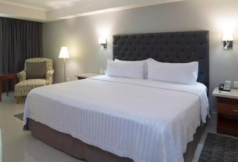 Fotos del hotel Holiday Inn Tuxtla Gutierrez, An Ihg:  19