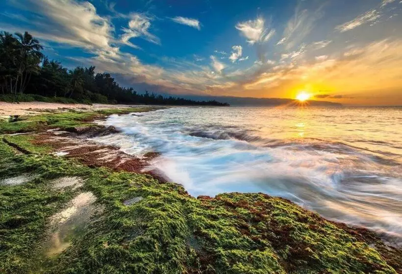 Fotos del hotel Wyndham Waikiki Beach Walk:  19