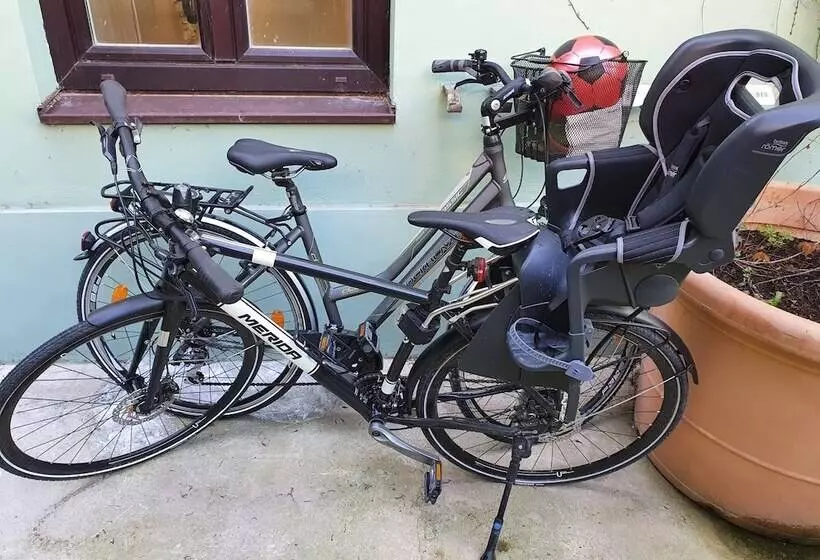 Fotos del hotel Altwienerhof Apart:  7