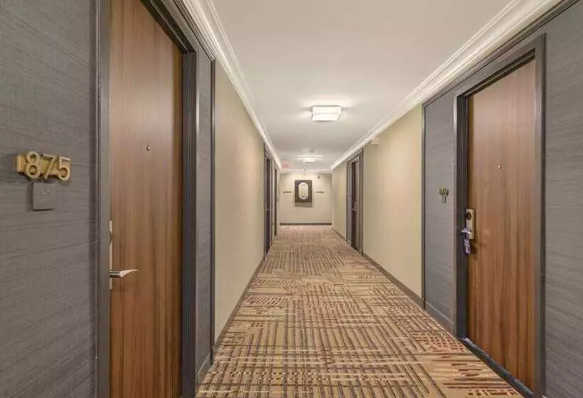 Fotos del hotel The Capital Hilton:  12