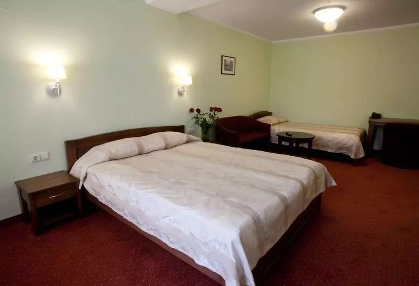 Fotos del hotel Airinn Vilnius:  13