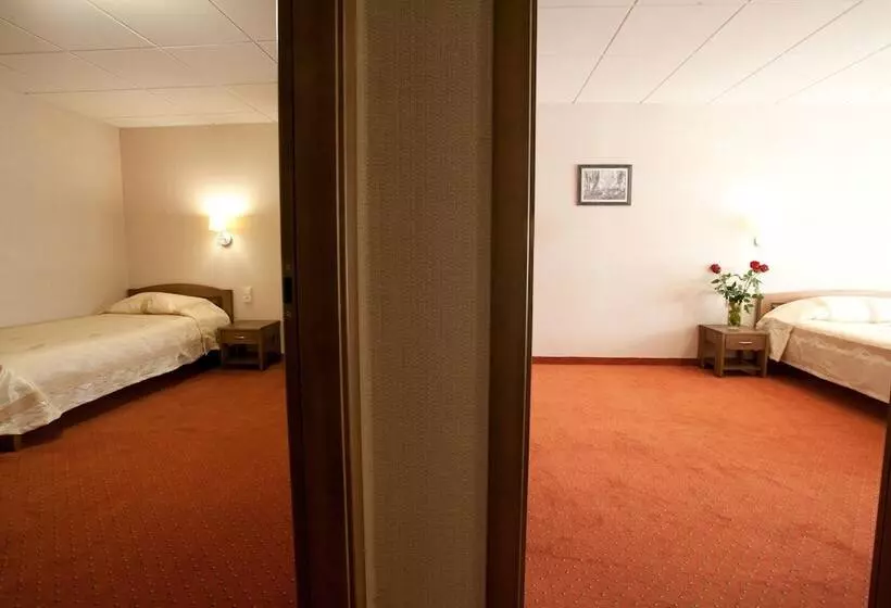 Fotos del hotel Airinn Vilnius:  18