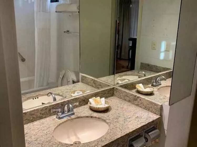 Fotos del hotel Rose:  11