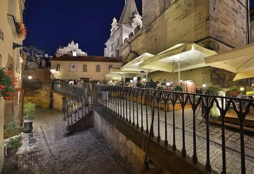 Fotos del hotel U Tri Pstrosu:  4