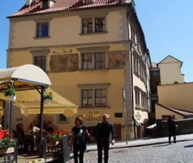 Fotos del hotel U Tri Pstrosu:  15