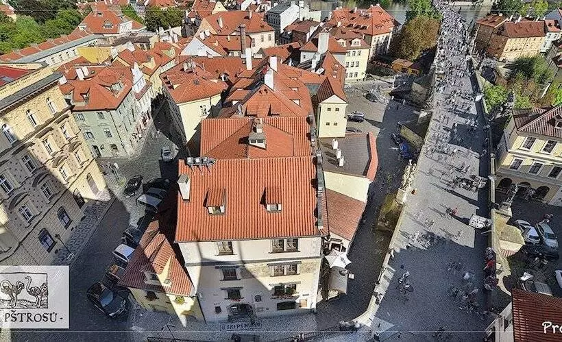 Fotos del hotel U Tri Pstrosu:  16