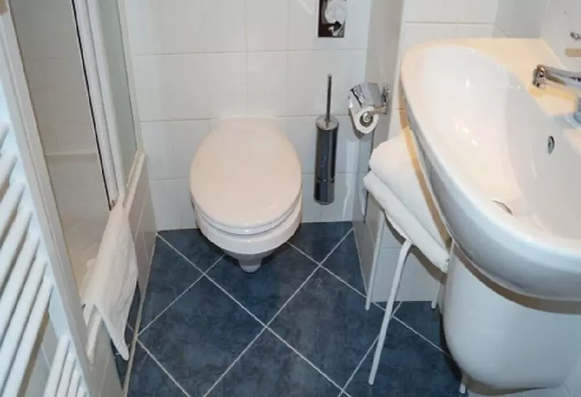 Fotos del hotel U Tri Pstrosu:  5