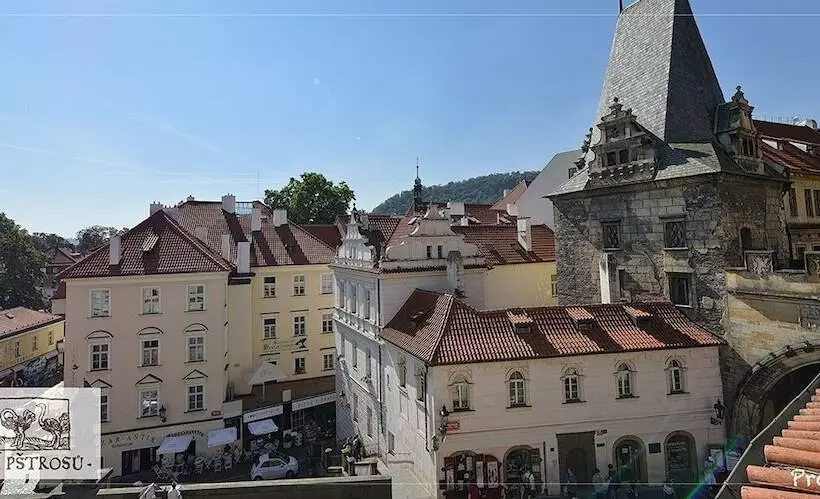 Fotos del hotel U Tri Pstrosu:  20