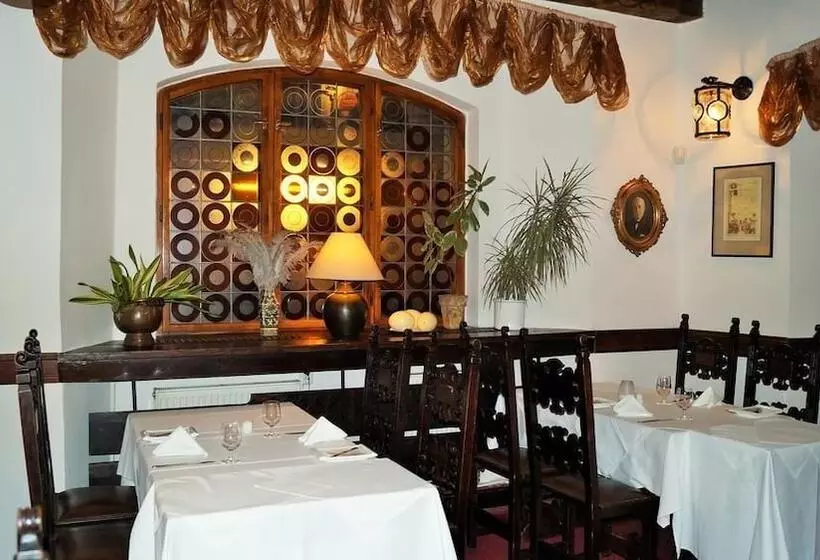 Fotos del hotel U Tri Pstrosu:  21