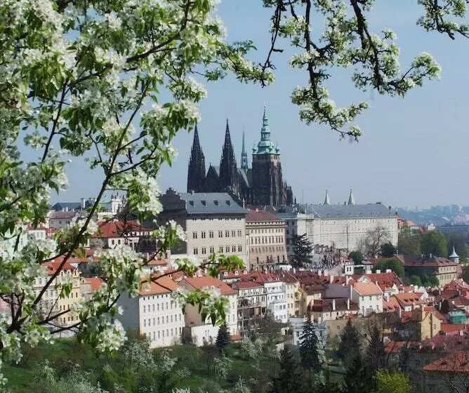 Fotos del hotel Páv:  10