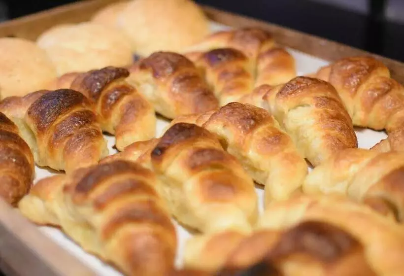 Fotos del hotel Ritz Hotel Mendoza:  8