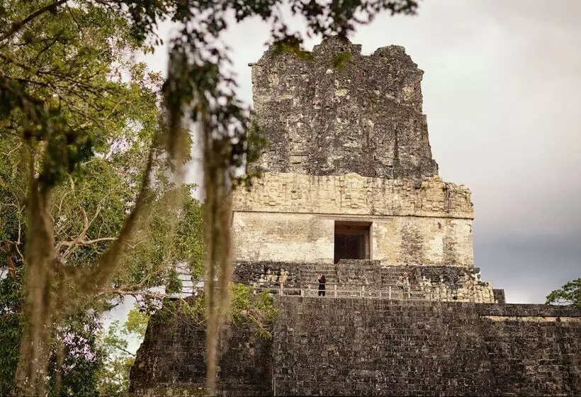 Fotos del hotel Villa Maya:  12