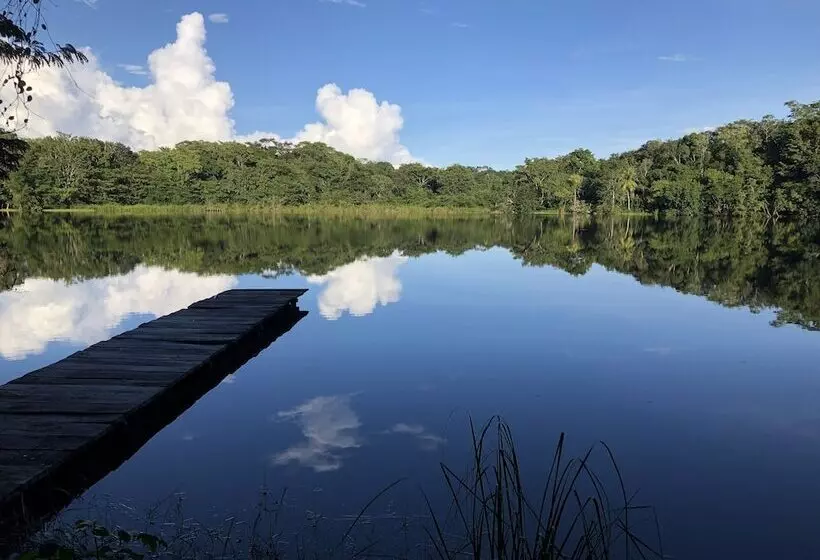 Fotos del hotel Villa Maya:  13
