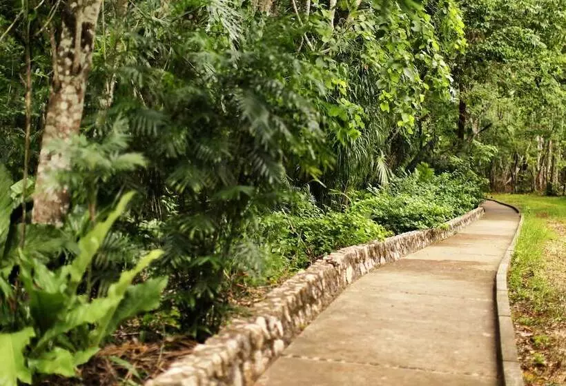 Fotos del hotel Villa Maya:  8