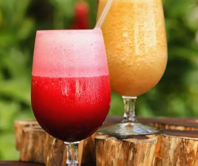 Fotos del hotel Villa Maya:  25