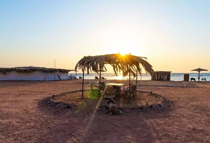 Fotos del hotel Daniela Village Dahab:  16