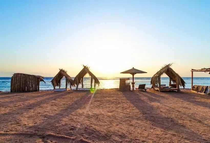 Fotos del hotel Daniela Village Dahab:  20