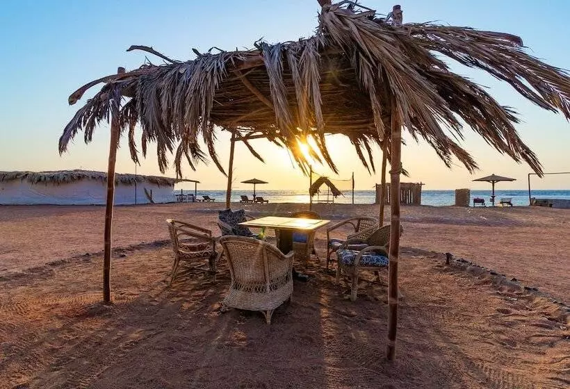 Fotos del hotel Daniela Village Dahab:  19