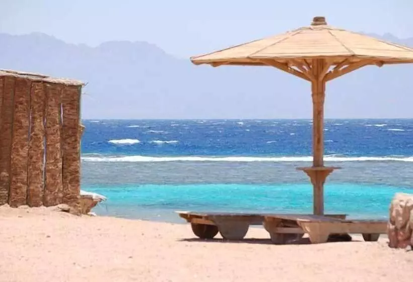 Fotos del hotel Daniela Village Dahab:  12