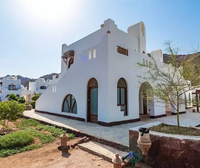 Fotos del hotel Daniela Village Dahab:  25