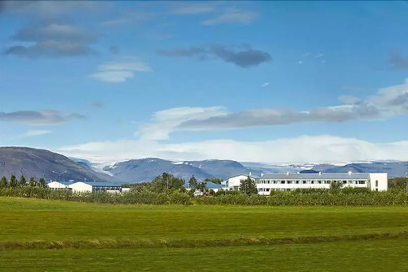 Fotos del hotel Jökull:  17