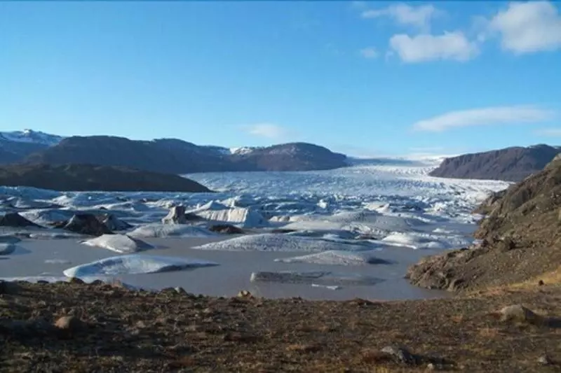 Fotos del hotel Jökull:  22