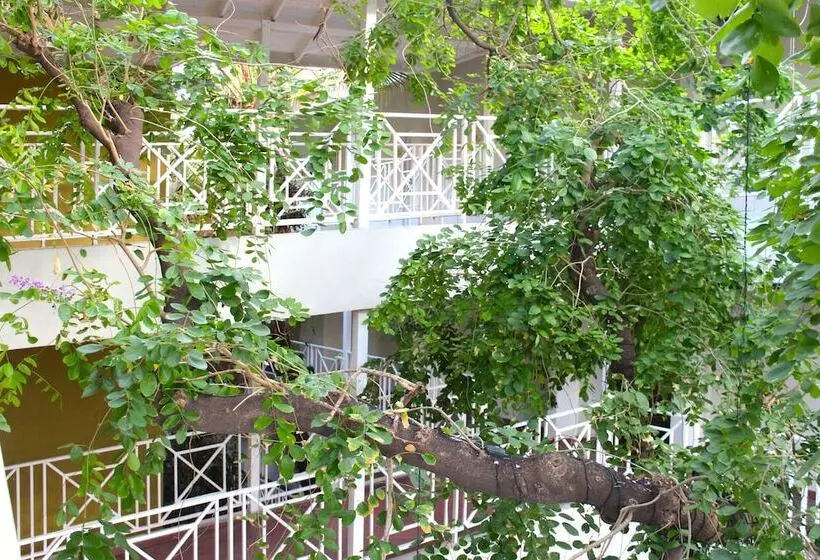 Fotos del hotel Altamont Court:  8