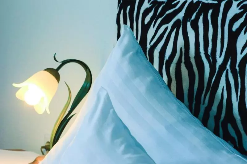 Fotos del hotel Mountains:  14