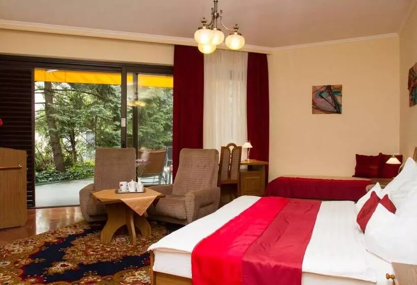 Fotos del hotel Molnár:  17