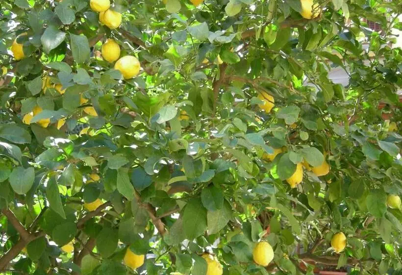 Fotos del hotel Select Garden:  16