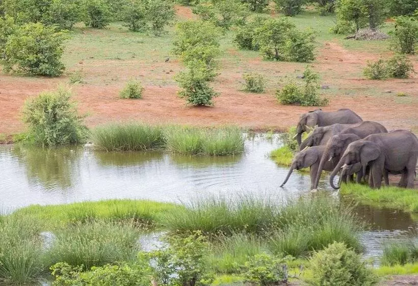 Fotos del hotel Victoria Falls Safari Lodge:  24