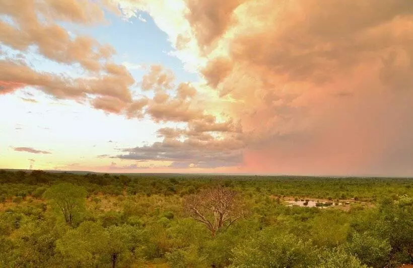 Fotos del hotel Victoria Falls Safari Lodge:  21