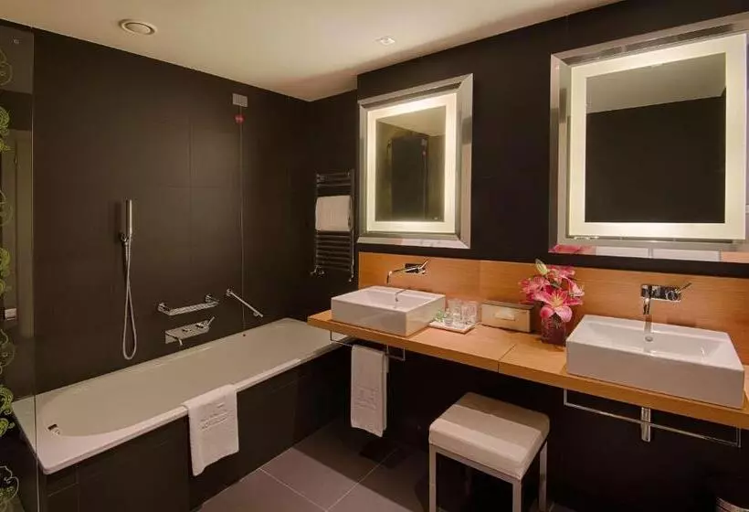 Fotos del hotel Nh Firenze:  83