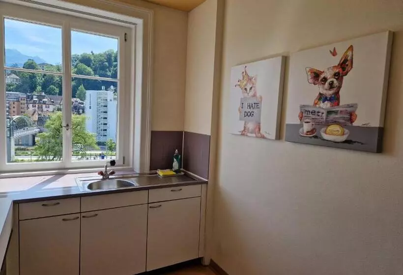 Fotos del hotel The Tourist City & River Hotel Luzern:  3