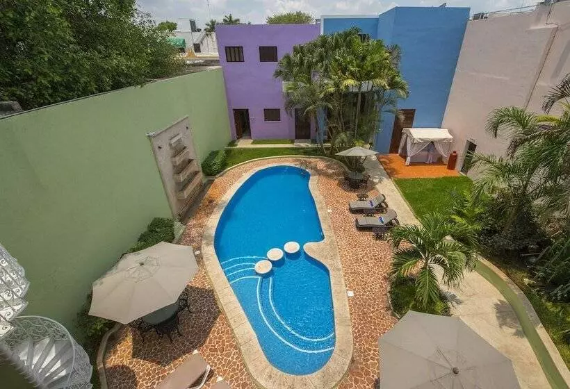 Fotos del hotel Del Gobernador:  2